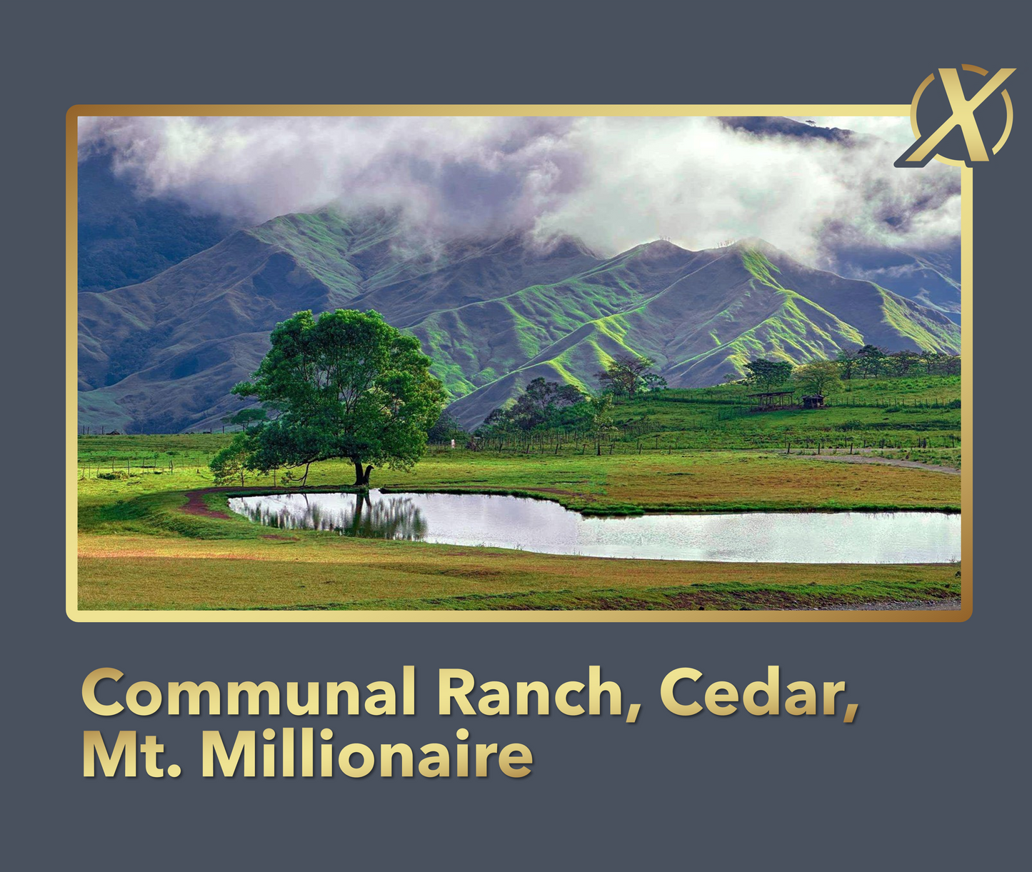 Communal Ranch X+