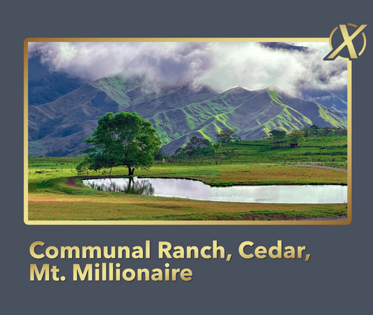 Communal Ranch X+