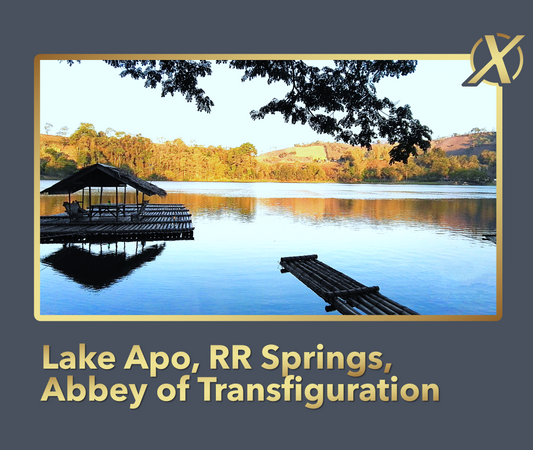 Lake Apo X+